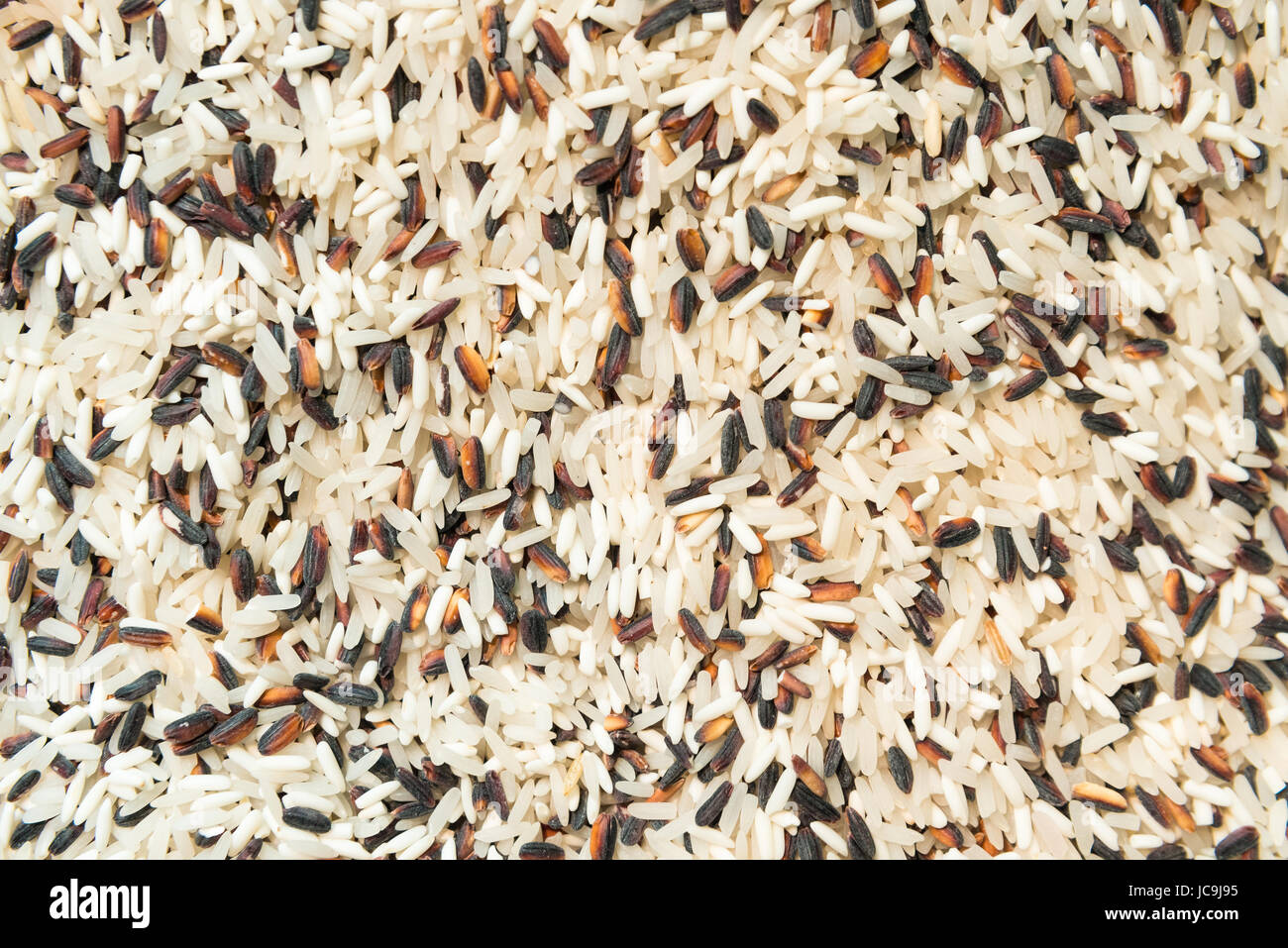 Procedura guidata di riso. Diventa di colore viola mentre è in cottura. Foto Stock