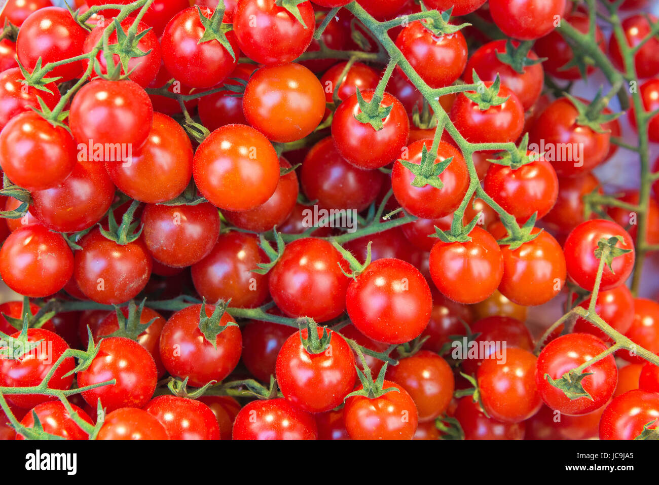 Gruppo di pomodori freschi cherrys. Cibo crudo Foto Stock