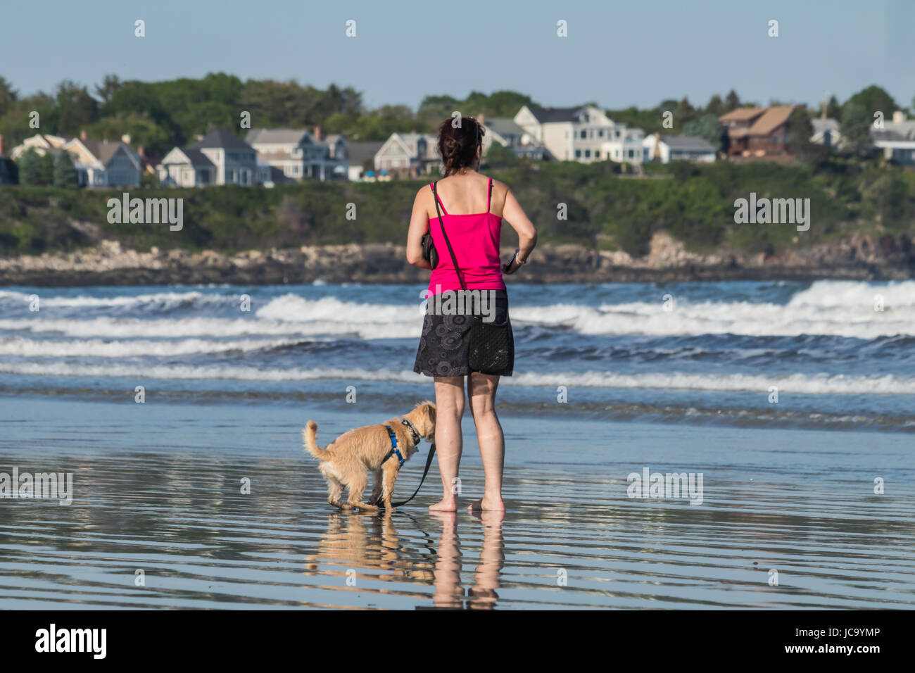 Una donna che cammina il suo cane in spiaggia Foto Stock