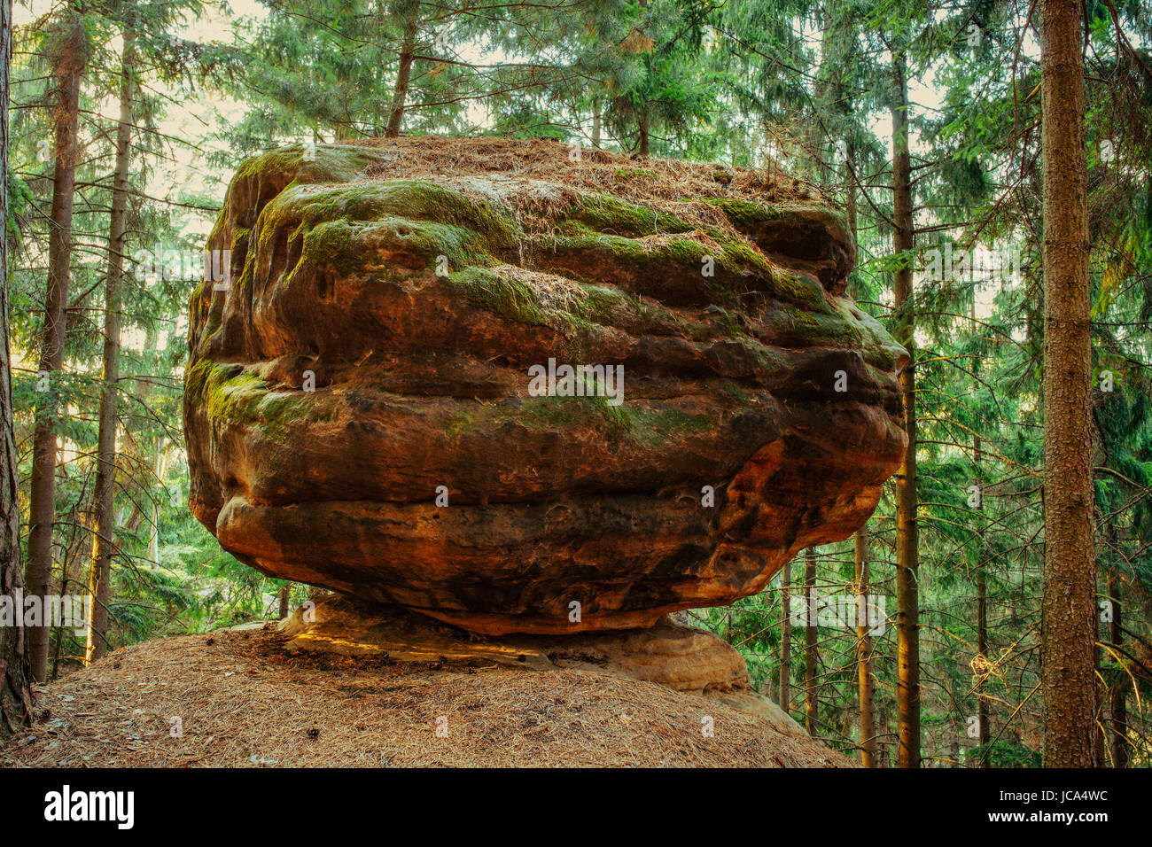 Grossa pietra sulla montagna nella foresta a stagione estiva Foto Stock