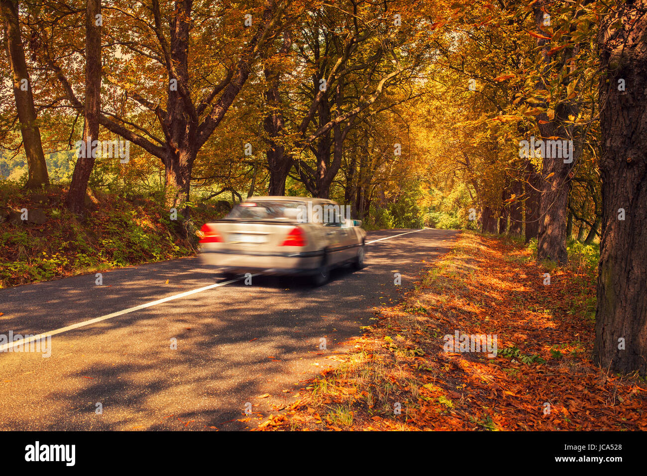 Autunno viaggi in automobile. Strada con vecchi alberi con foglie rosse. Auto Moto sfocata. Foto Stock