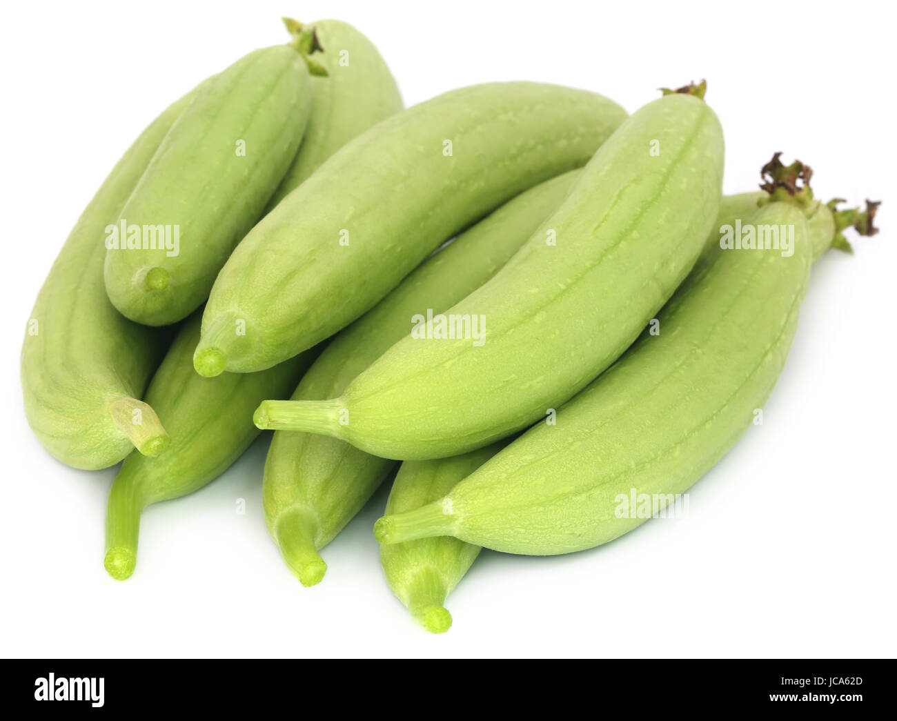 Fresh Ridge il gourd Luffa aegyptiaca su sfondo bianco Foto Stock