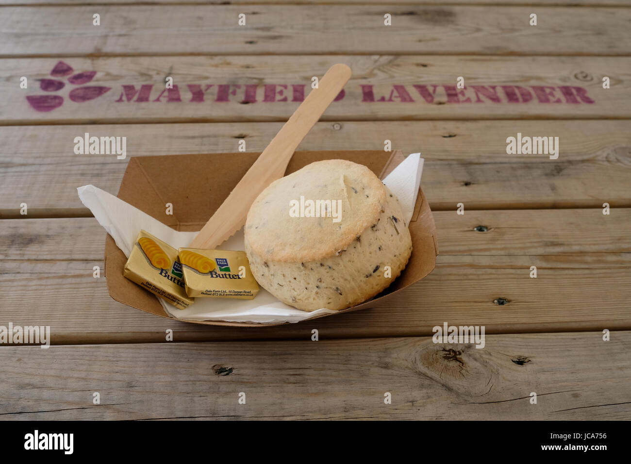 Lavanda scone con burro su un piatto di carta sul tavolo di legno a Mayfield Fattoria di Lavanda in Banstead, Surrey, Inghilterra, Regno Unito. Foto Stock