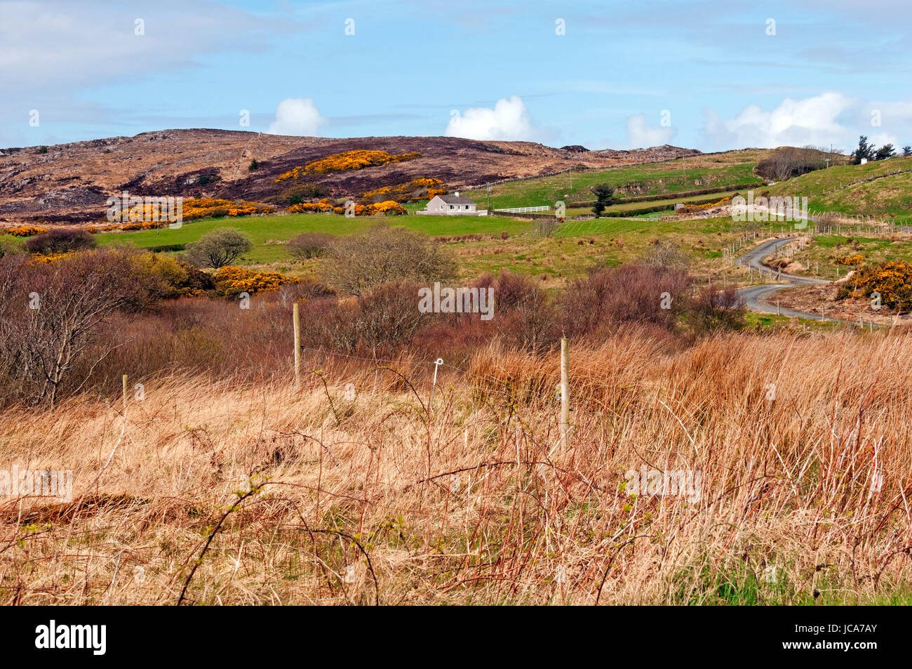 Paesaggio pastorale sulla strada per Fanad Head Lighthouse, County Donegal, Irlanda Foto Stock