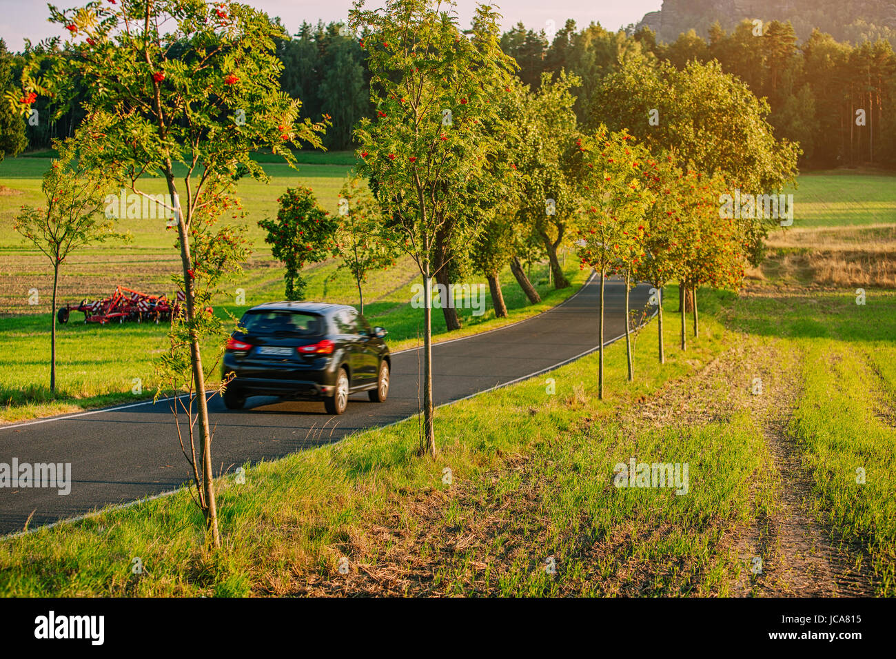 Viaggio in auto sulla strada in Europa con il campo e alberi a caldo la luce del tramonto Foto Stock