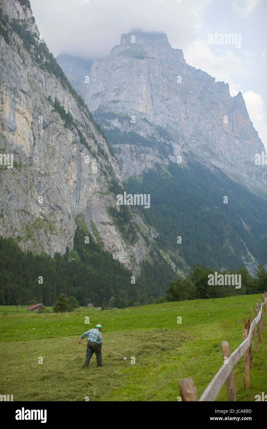Un uomo non identificato che lavora in un pascolo verde alla base delle grandi montagne in Lauterbrunnen. La Svizzera. Foto Stock