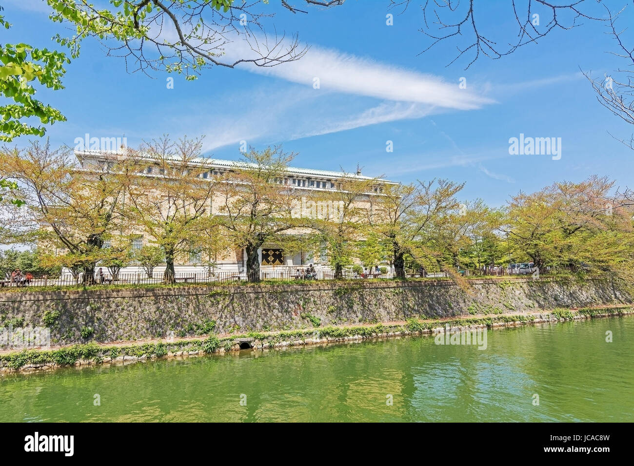 Verde smeraldo di ciliegi e Kyoto Museo municipale di arte accanto al fiume in Kyoto. Foto Stock
