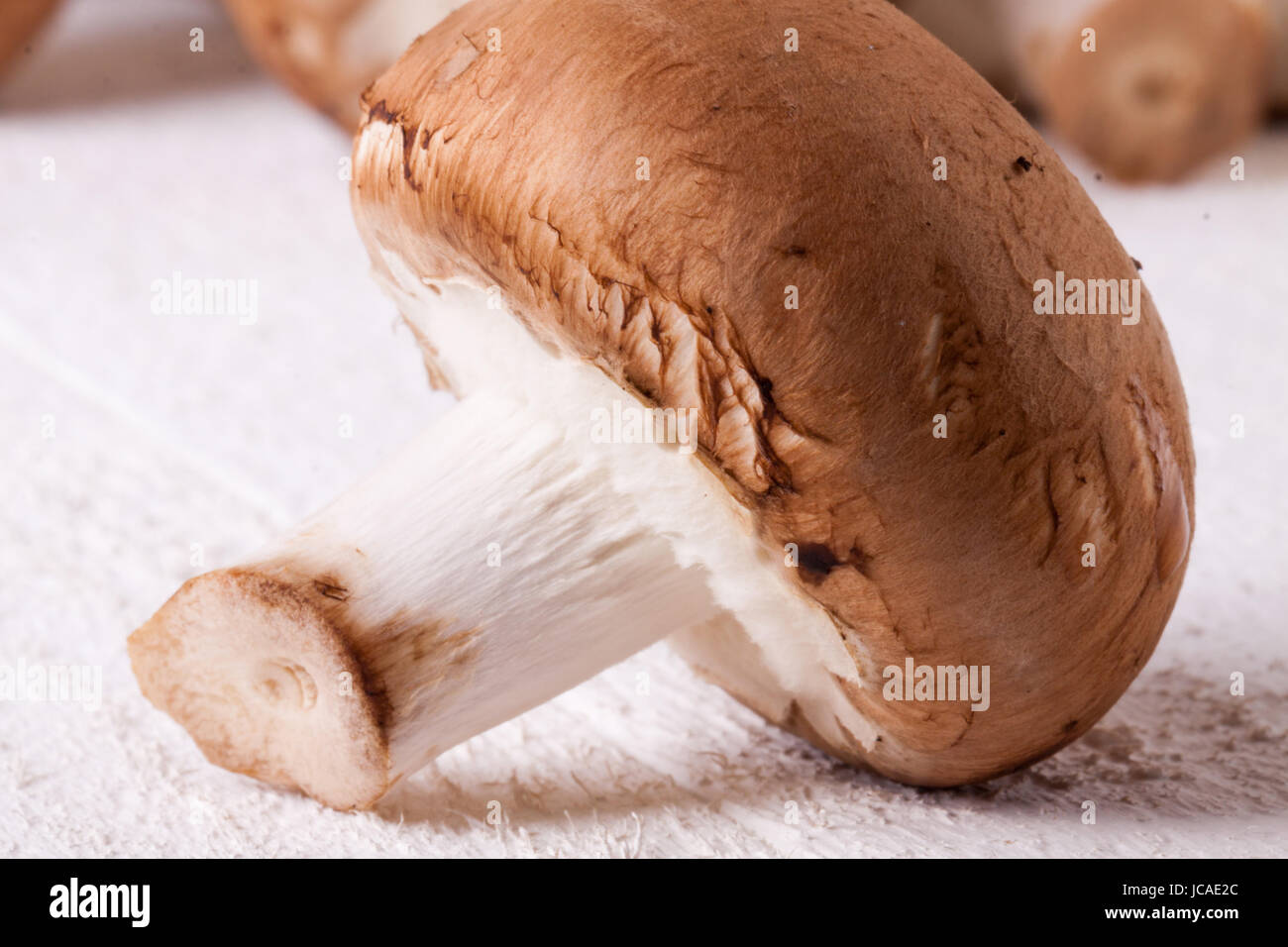 Frische braune Steinchampignons als Nahaufnahme auf einem rustikalen weißem Holzbrett Foto Stock