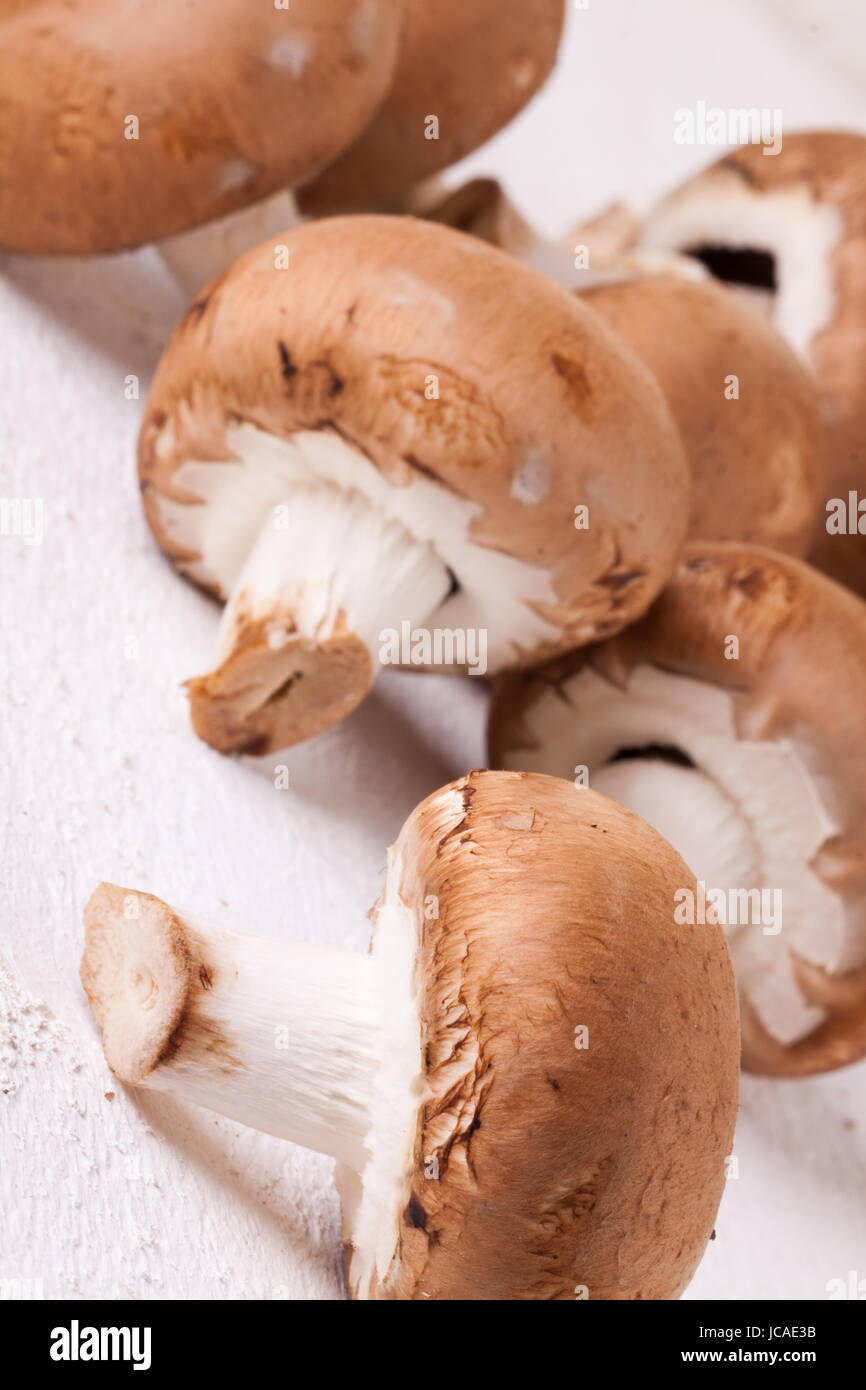 Frische braune Steinchampignons als Nahaufnahme auf einem rustikalen weißem Holzbrett Foto Stock