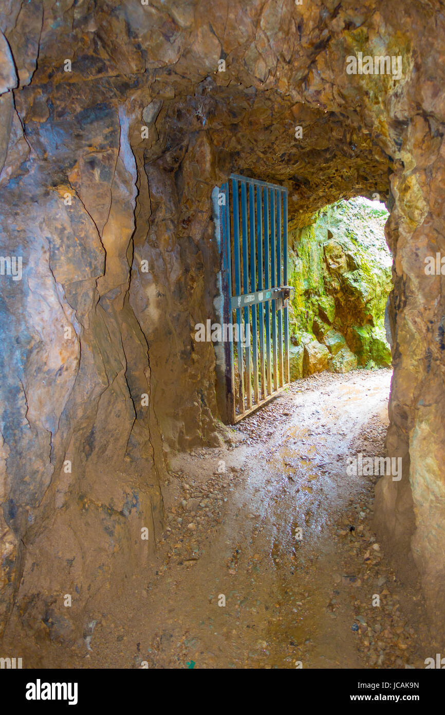 Immettere storico di tunnel ferroviario, una parte di una vecchia miniera d'oro del sistema di trasporto situato nell isola del Nord della Nuova Zelanda. Foto Stock