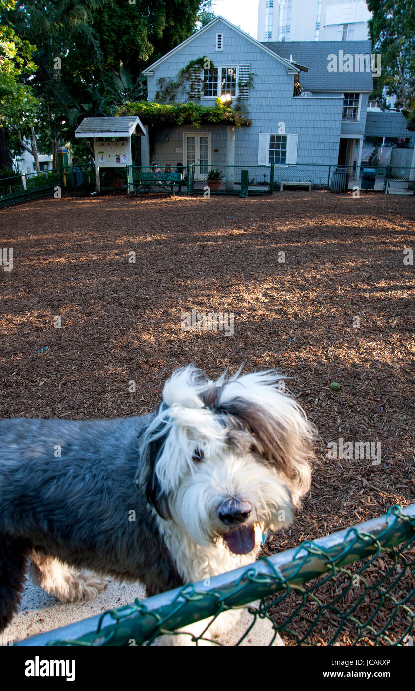 Il William S. Hart Dog Park sulla Sunset Strip di Los Angeles, CA Foto Stock