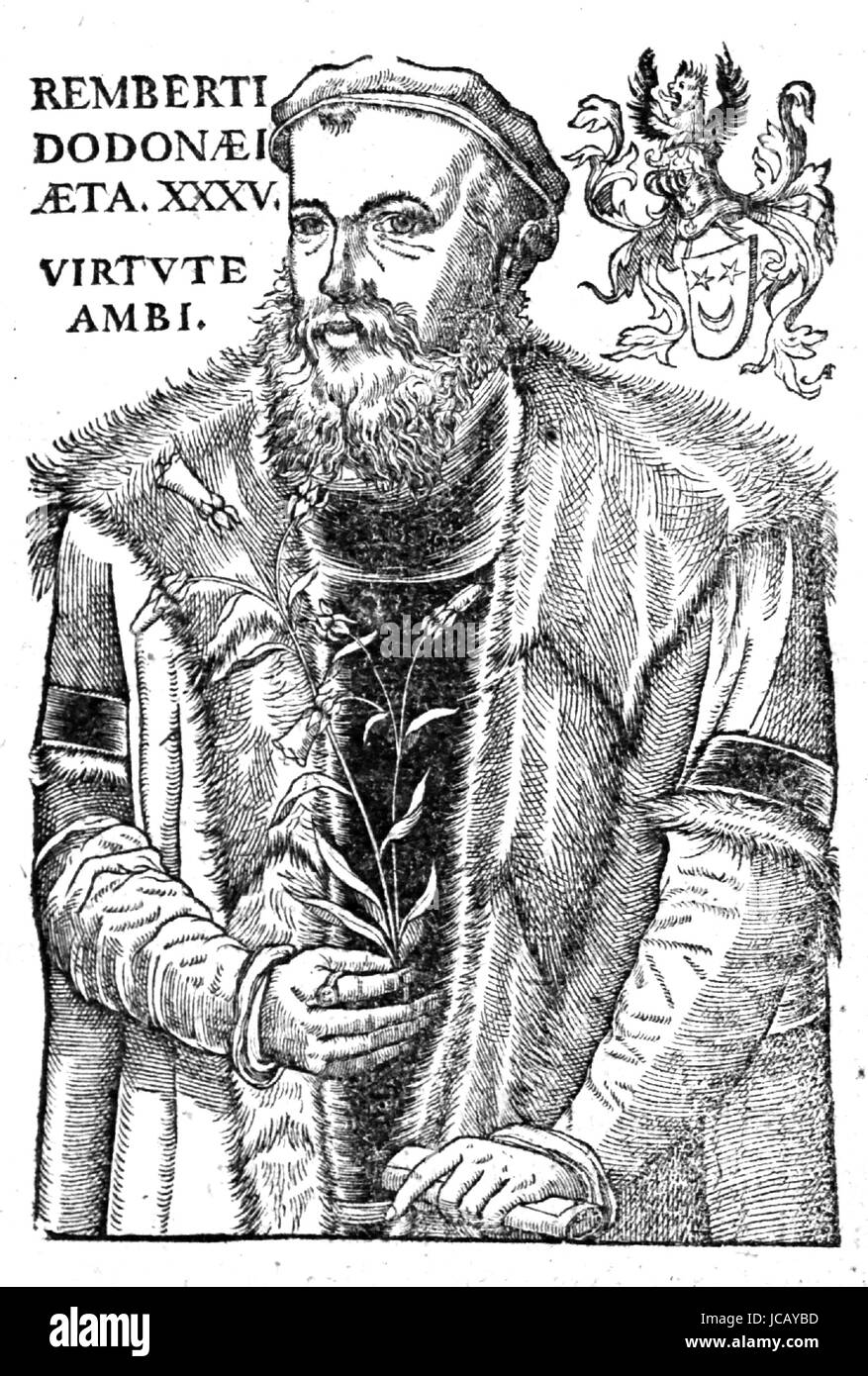 REMBERT DODOENS (1517-1585), botanico fiammingo e medico nel 1578 edizione inglese del suo' Nievve Herball o Historie di plantes' Foto Stock