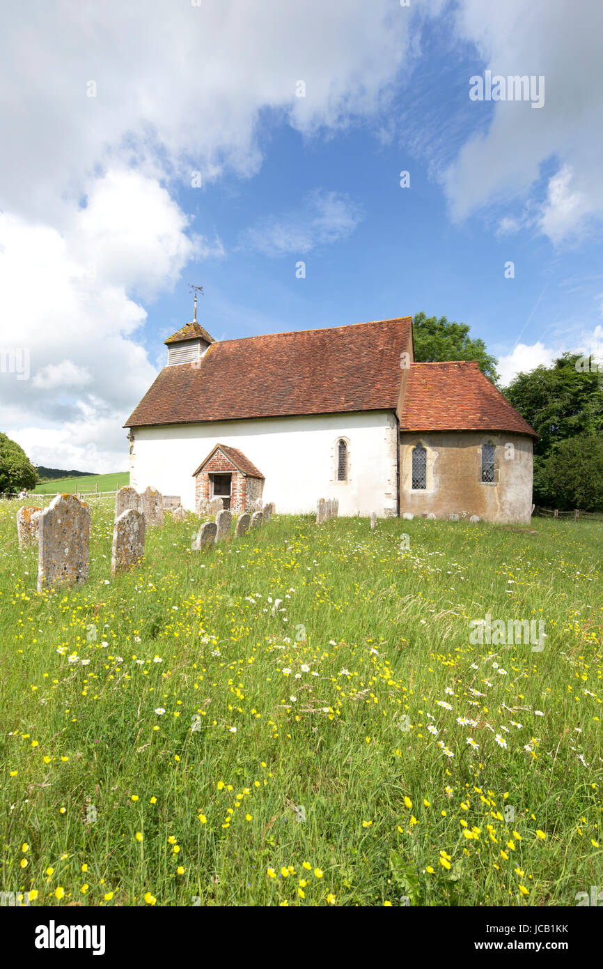 Upwaltham chiesa del XII secolo Upwaltham, West Sussex, in Inghilterra, Regno Unito Foto Stock