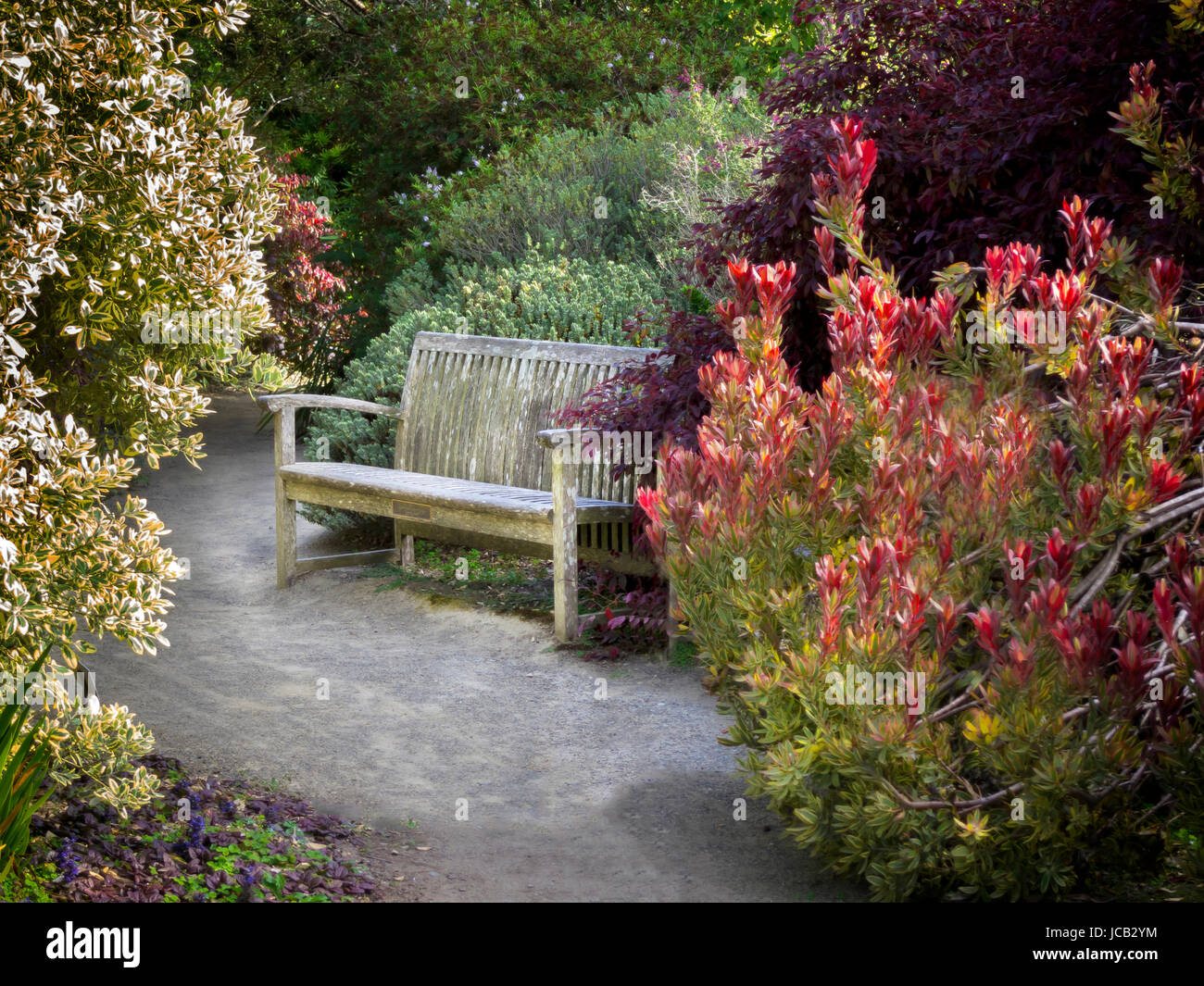 Un percorso sterrato che conduce ad una panca collocata in una posizione isolata in un giardino formale. Foto Stock