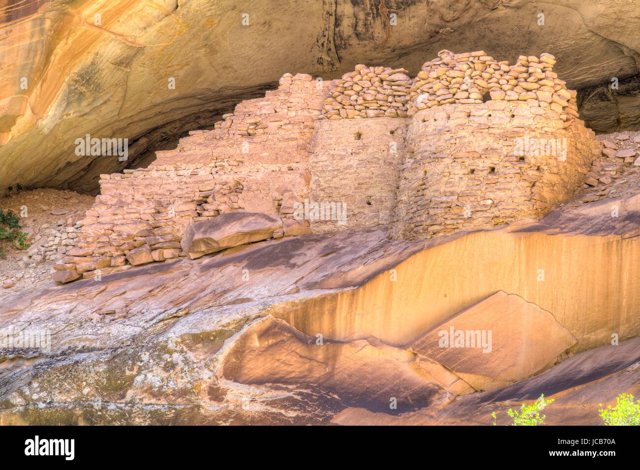 Il Anasazi monarca indiano cliff abitazione rovine nel sud Forcella del Mule Canyon a Cedar Mesa in porta orecchie monumento nazionale vicino a Bluff, Utah. Foto Stock