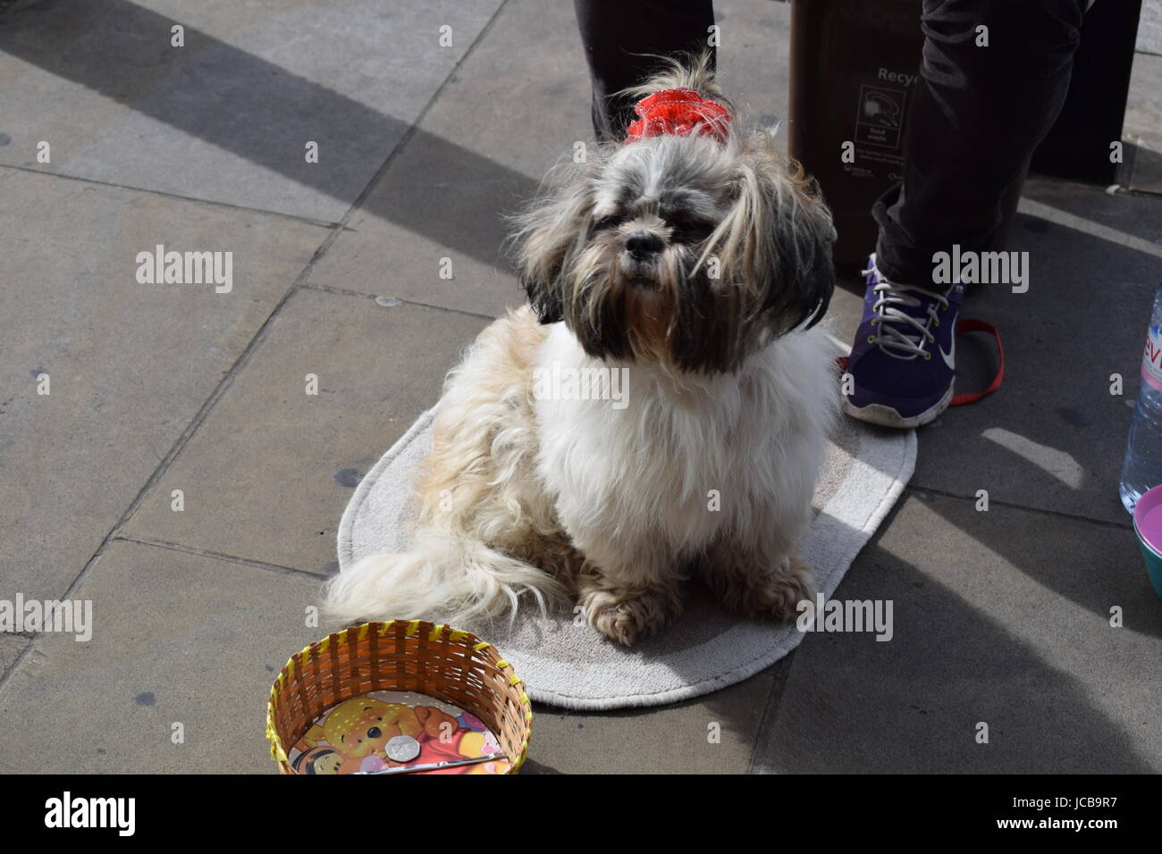 Jewel House e Westminster 2016 Foto Stock