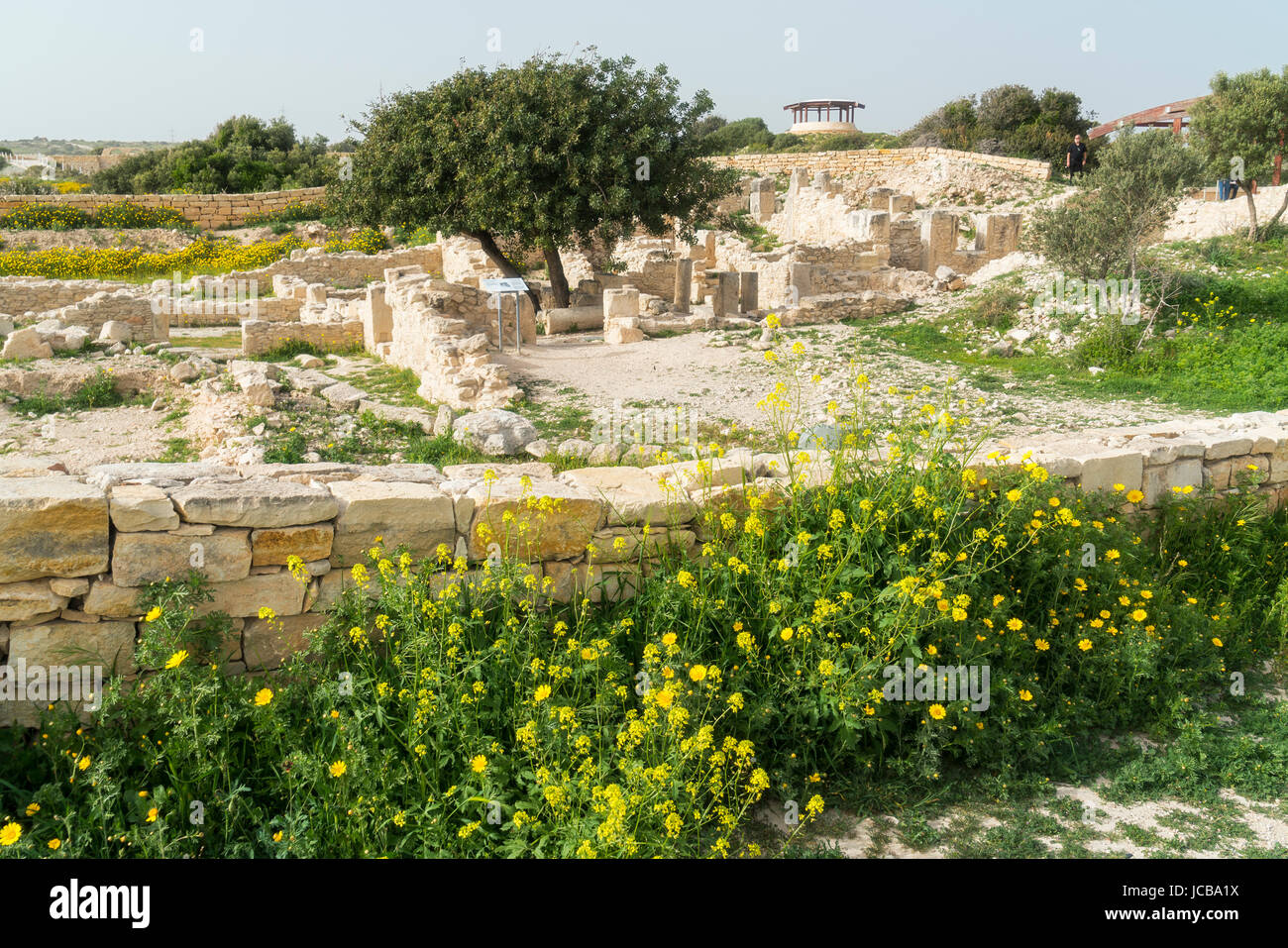 Kourion sito archeologico, vicino a Limassol Limassol Cipro del Sud Foto Stock
