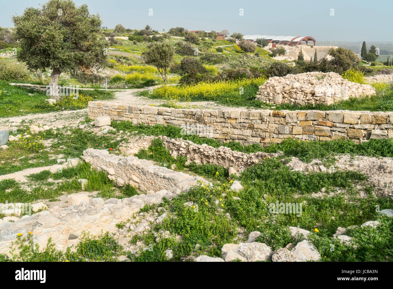 Kourion sito archeologico, vicino a Limassol Limassol Cipro del Sud Foto Stock