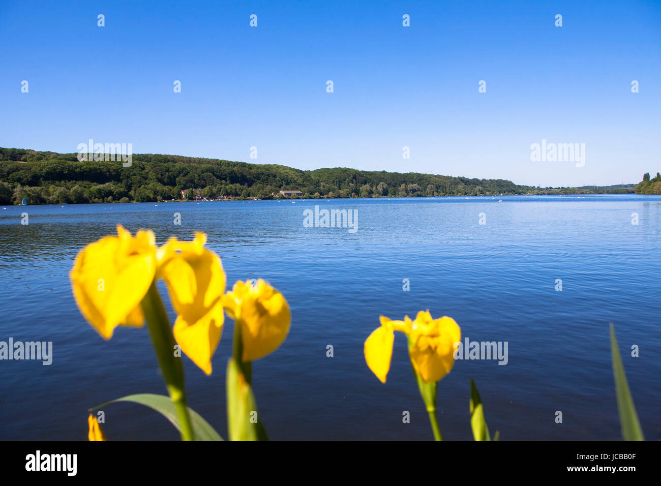 In Germania, in Renania settentrionale-Vestfalia, la zona della Ruhr, Bochum, lago Kemnade, lago di storage, bandiera dell'acqua. Foto Stock