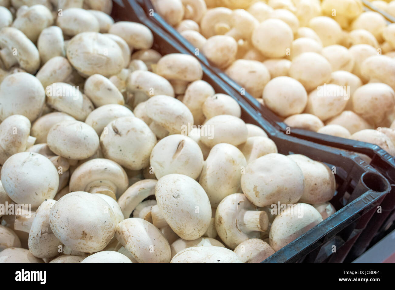 Organici di funghi champignon mucchio per la vendita sul mercato degli agricoltori Foto Stock