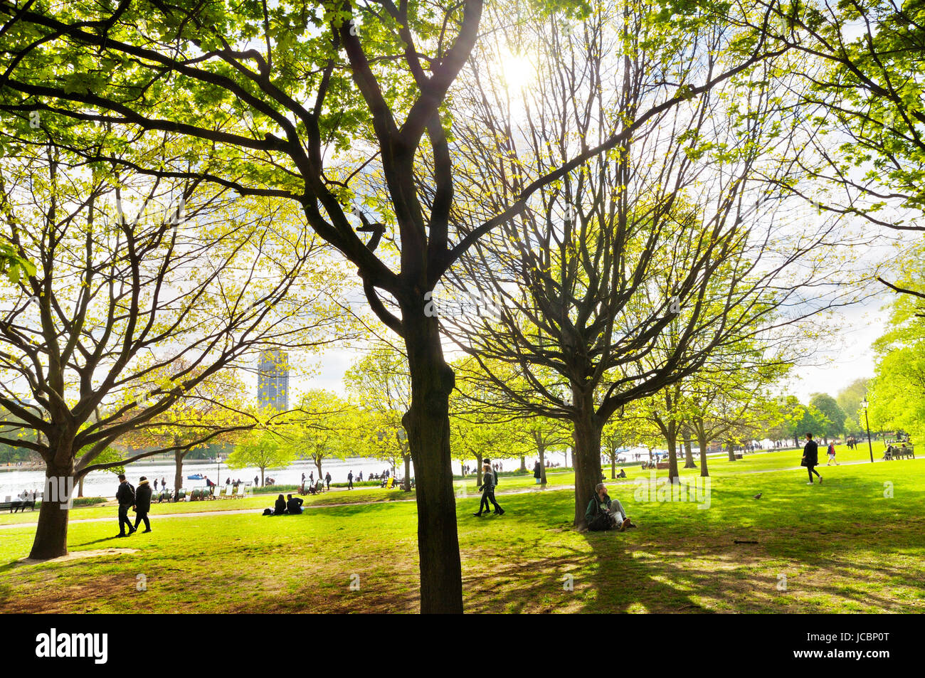 Hyde Park, Londra. Una piacevole passeggiata sotto il sole-pezzata alberi all'Hyde Park di Londra verso il famoso fiume a serpentina. Foto Stock