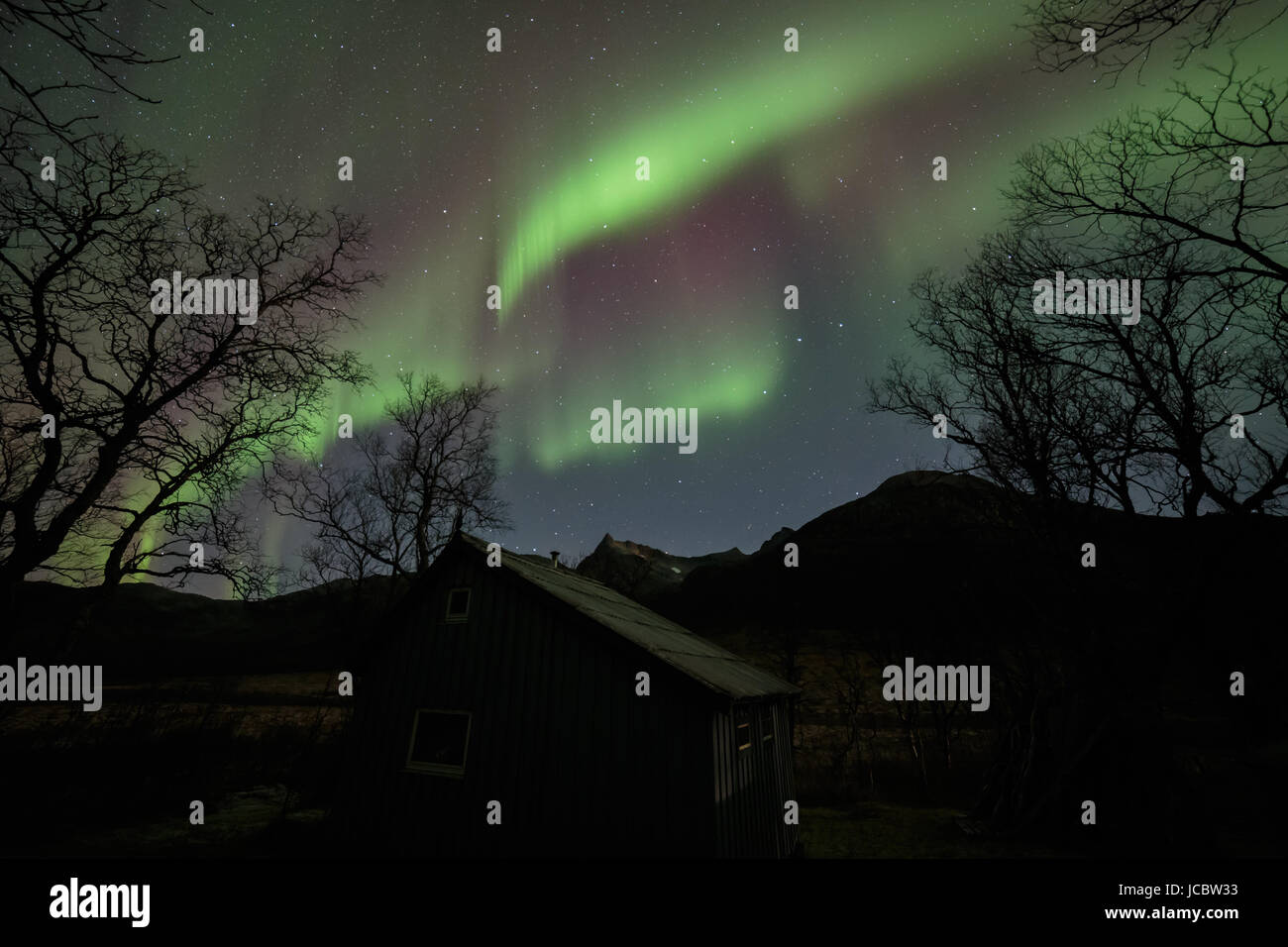 Aurora boreale o luci del nord, attivo tende colorate in movimento attraverso il cielo notturno nel circolo polare artico isola Kvaloya Troms Tromso Norvegia regione Foto Stock
