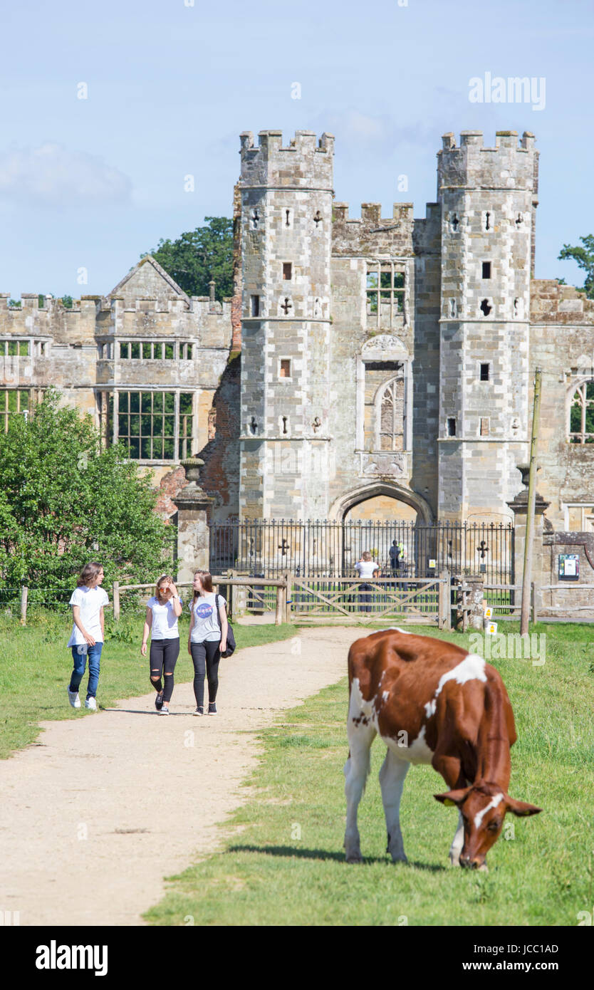 Cowdray House, Easebourne, West Sussex, in Inghilterra, Regno Unito Foto Stock