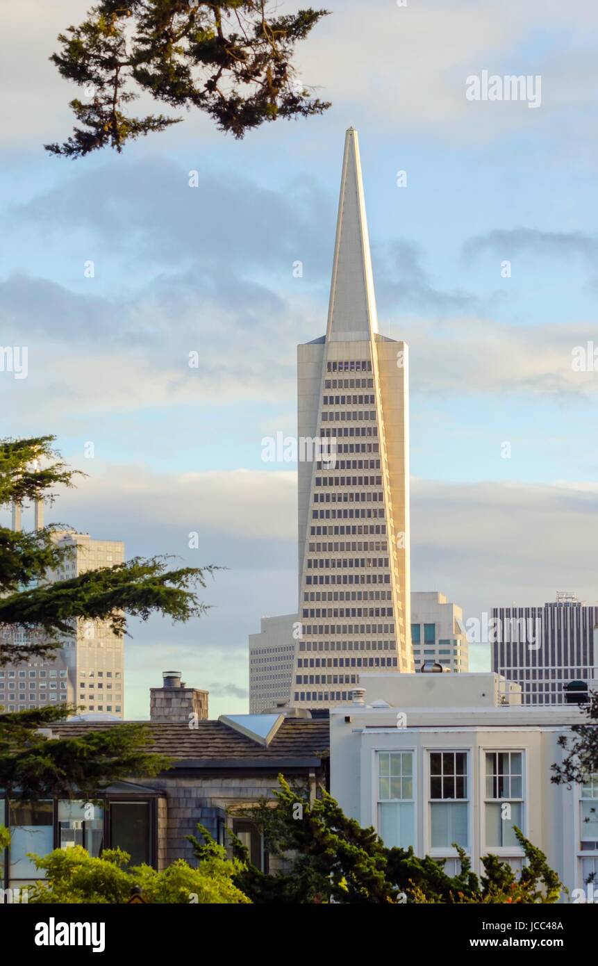 La Piramide Transamerica a San Francisco, California, Stati Uniti d'America. Il grattacielo più alto lo skyline della città, situato nel quartiere finanziario del centro cittadino sulla via di Montgomery sede uffici commerciali. Foto Stock