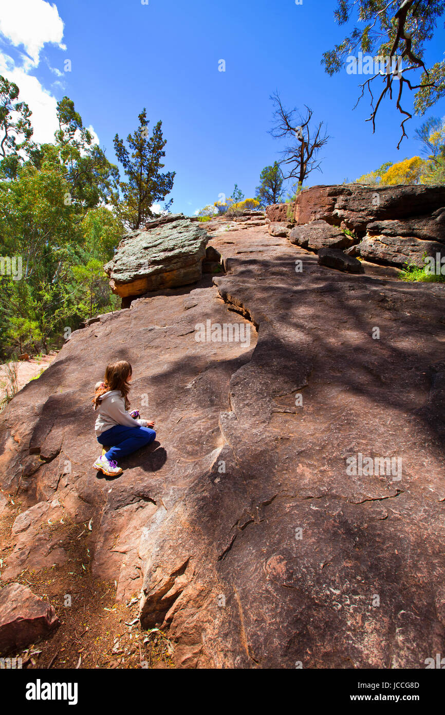 Foto scattata su una quattro giorni di vacanza nel mese di ottobre del 2016 durante il soggiorno a Willow Springs Station, Jackaroos Cottage, Flinders Ranges , South Australia Foto Stock