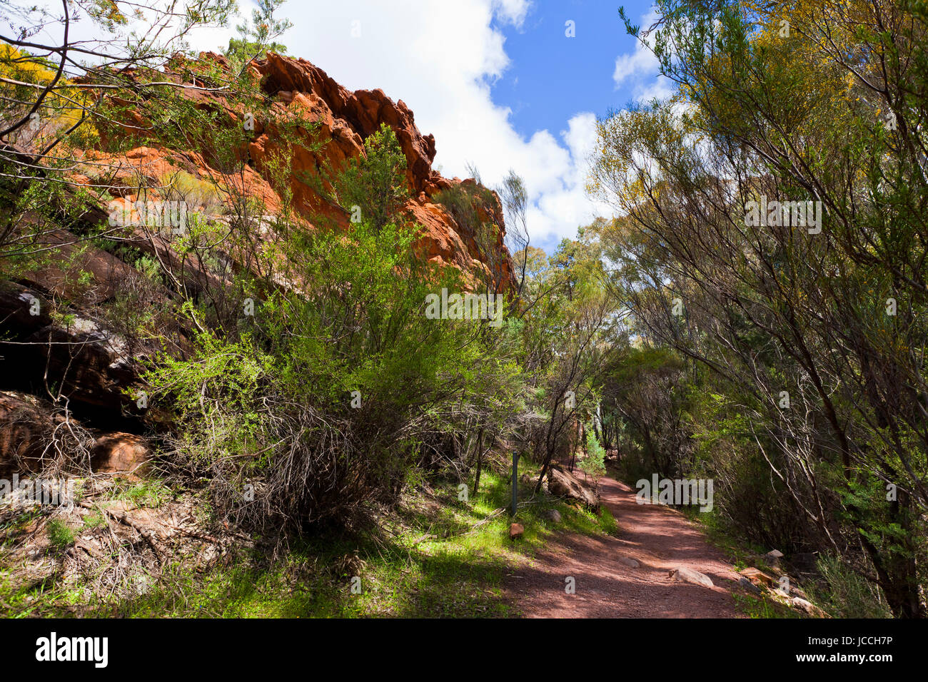 Foto scattata su una quattro giorni di vacanza nel mese di ottobre del 2016 durante il soggiorno a Willow Springs Station, Jackaroos Cottage, Flinders Ranges , South Australia Foto Stock