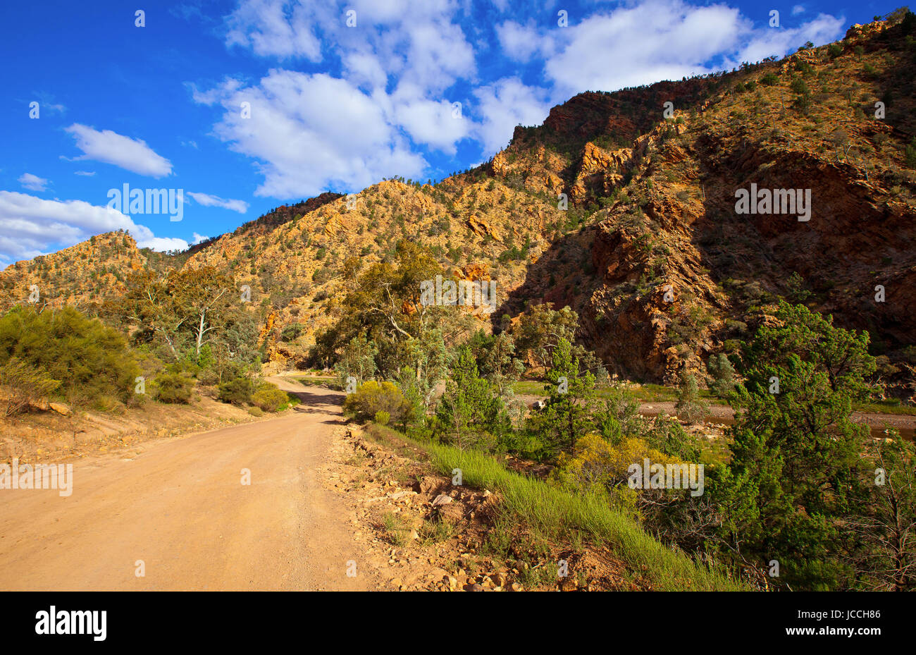 Foto scattata su una quattro giorni di vacanza nel mese di ottobre del 2016 durante il soggiorno a Willow Springs Station, Jackaroos Cottage, Flinders Ranges , South Australia Foto Stock