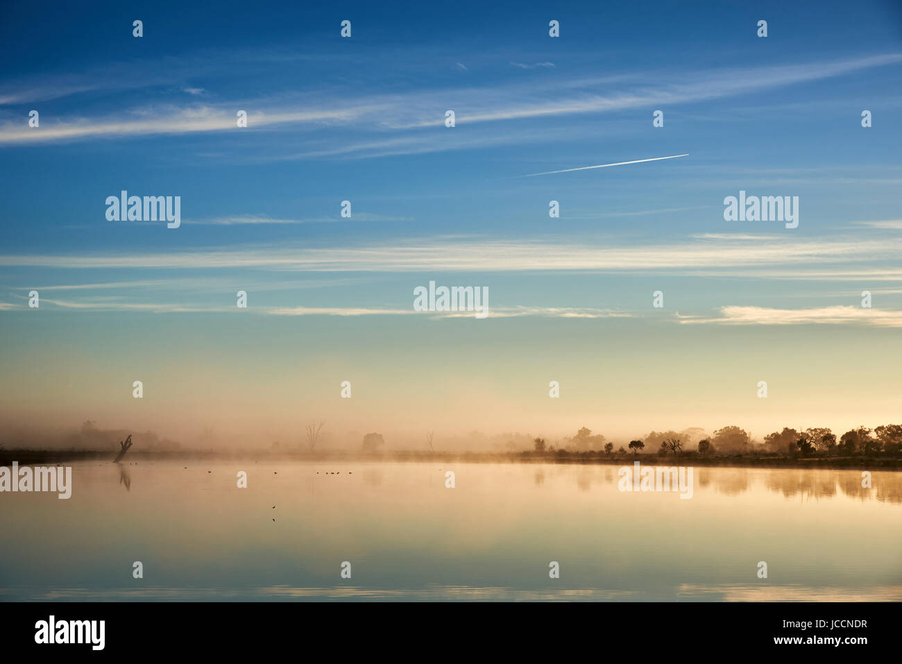 La mattina presto la superficie foog derive nel Billabong, Regione di Sunraysia, Victoria, Australia. Foto Stock