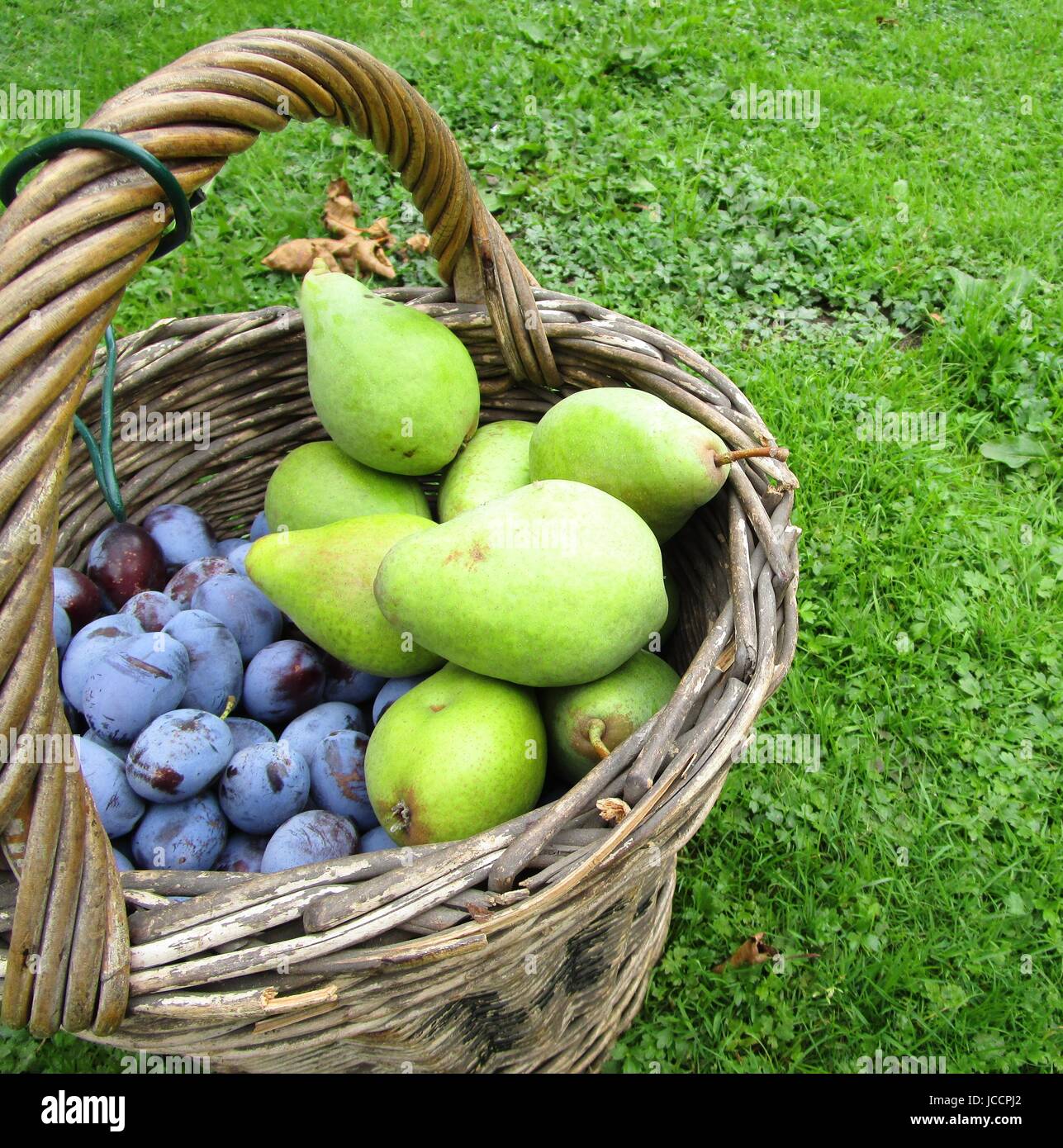 cesto di frutta Foto Stock