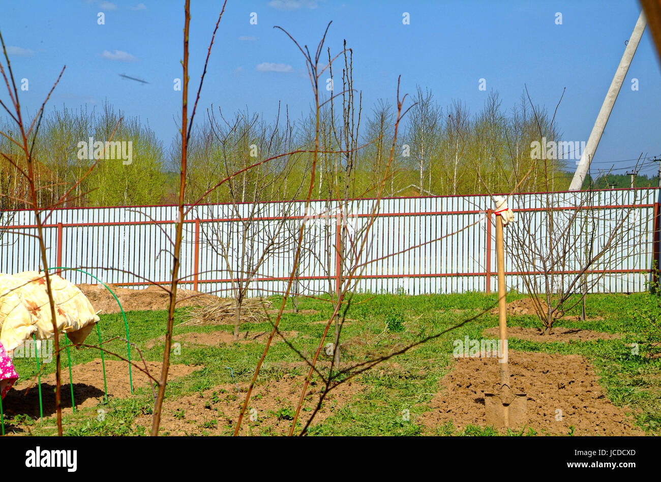 Trama orto in primavera in Russia Foto Stock