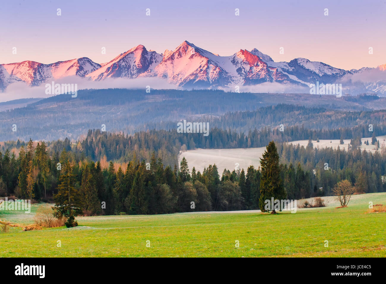 Verde vallata alpina su una mattina di sole. Cime innevate illuminate dal sole nascente. Foto Stock