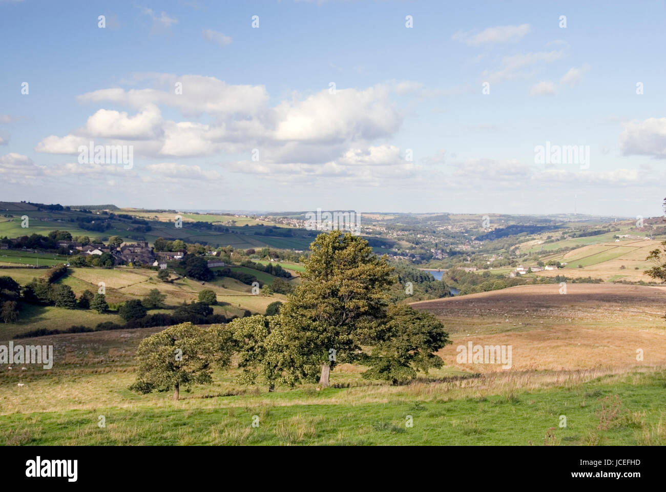 West Yorkshire, Regno Unito - 31 ago: campagna inglese e paesaggio di brughiera a inizio autunno il 31 agosto nel Holme Valley, Yorkshire Foto Stock