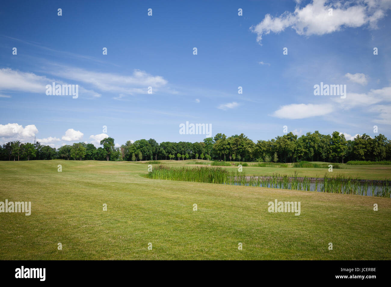 Il verde prato a City Park Foto Stock