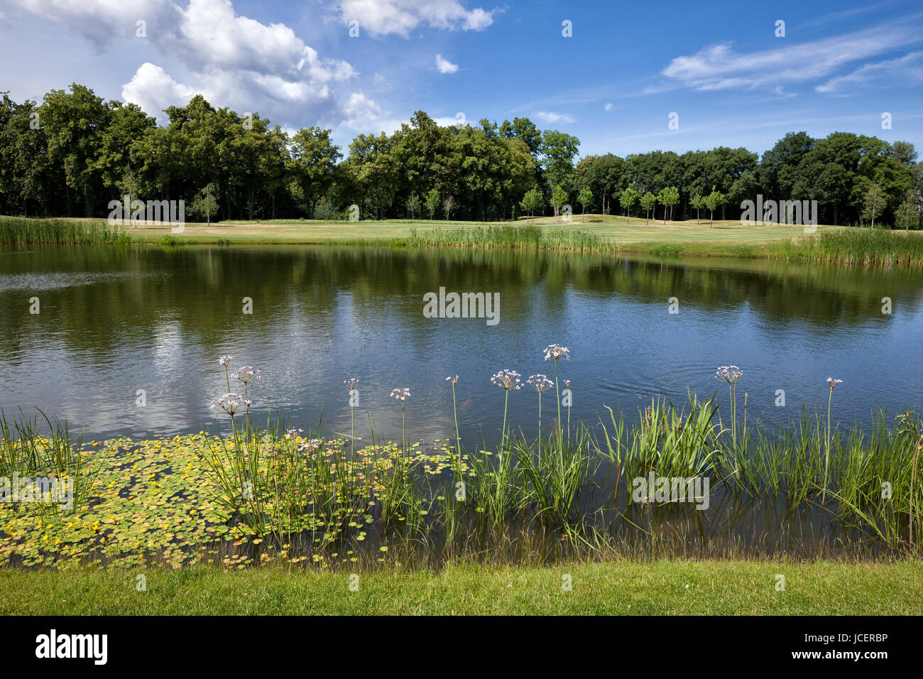 Il lago e il verde prato a City Park Foto Stock