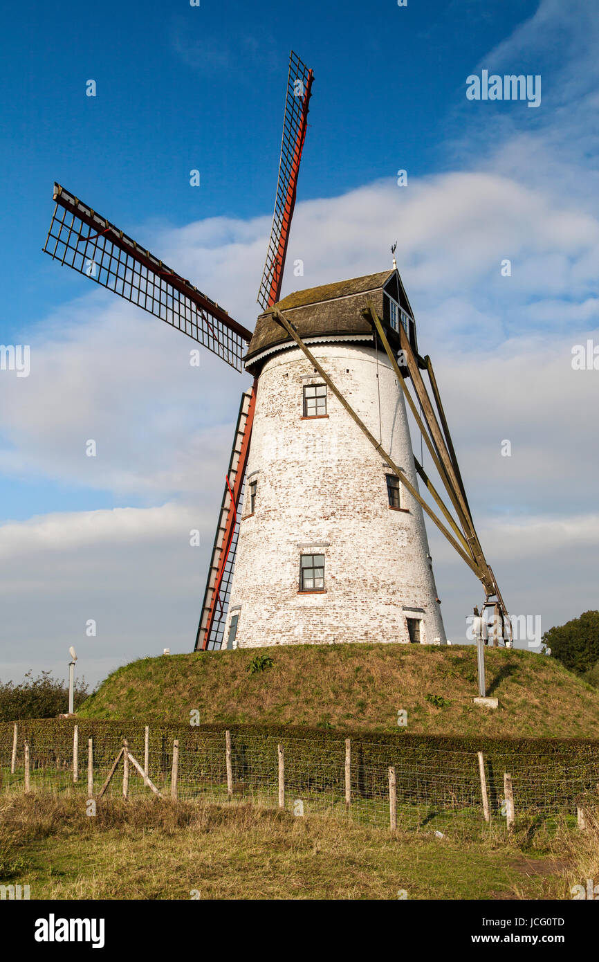 Il mulino a vento di Damme, Fiandre Occidentali, Belgio. Foto Stock