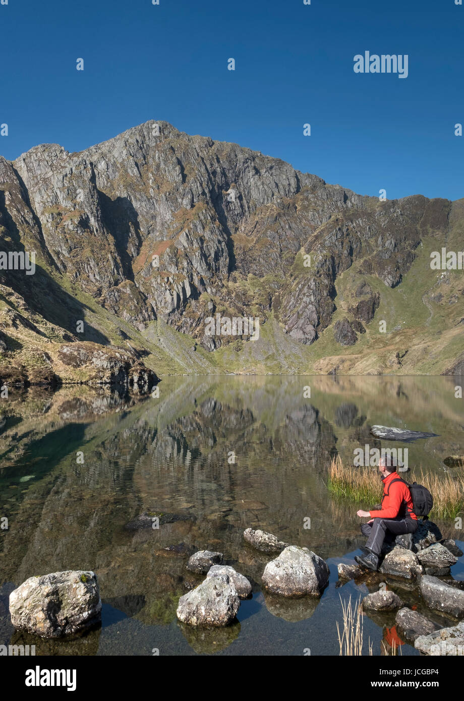 Un viandante ammirando la vista su Llyn Cau sostenuta da Craig Cau, Cadair Idris, Snowdonia National Park, North Wales, Regno Unito Foto Stock