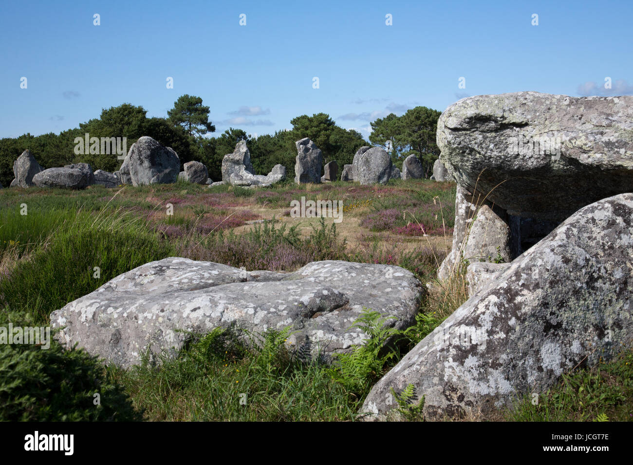 I viali, circoli di pietra e la sepoltura di tumuli presso il sito neolitico in carnac, Francia Foto Stock