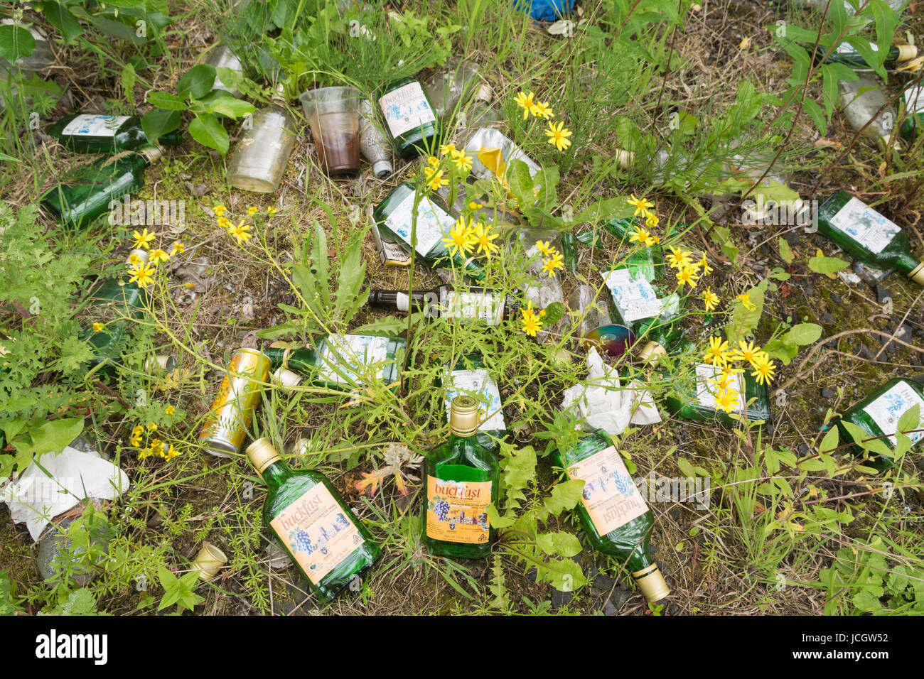 Buckfast Vino tonico - bottiglie vuote littering in Glasgow, Scotland, Regno Unito Foto Stock