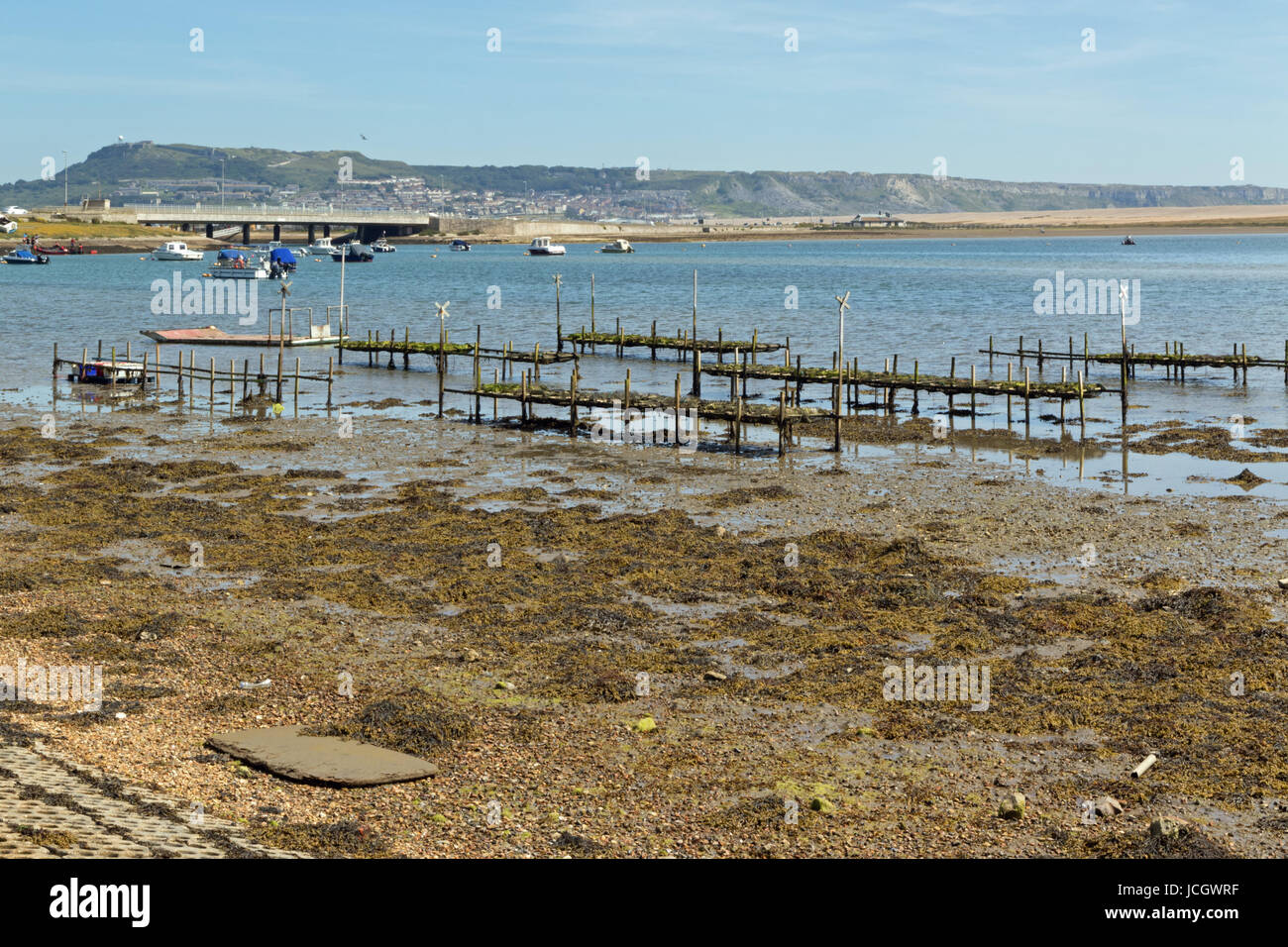 Oyster Farm in flotta nella Riserva Naturale del Dorset con Portland in background Foto Stock