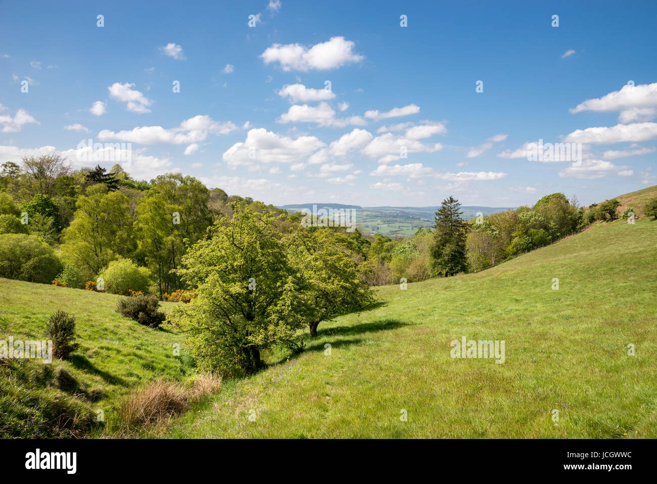 Bella giornata di sole vicino Llanbedr e Ruthin in colline di Moel Famau country park, il Galles. Foto Stock
