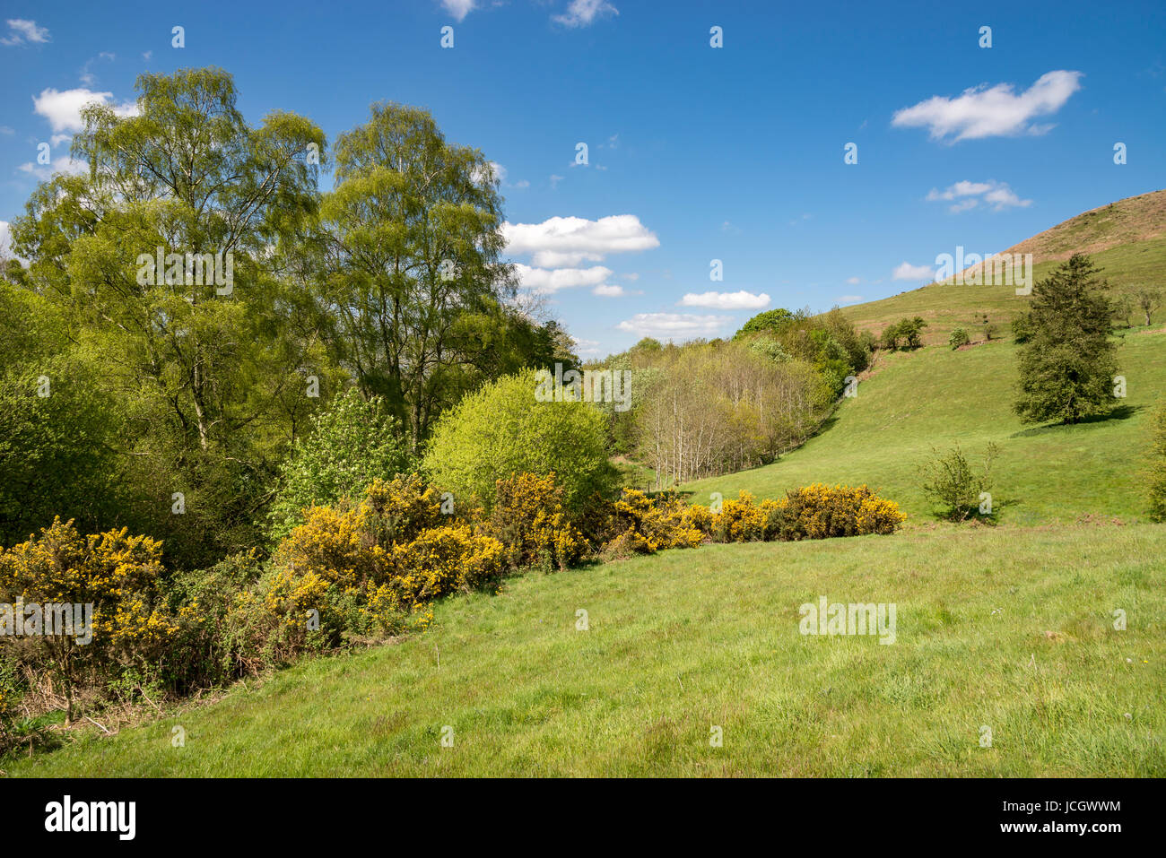 Bella giornata di sole vicino Llanbedr e Ruthin in colline di Moel Famau country park, il Galles. Foto Stock