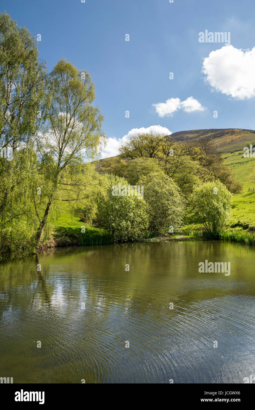 Piccolo lago sotto le colline di Moel Famau country park, il Galles del Nord. Foto Stock