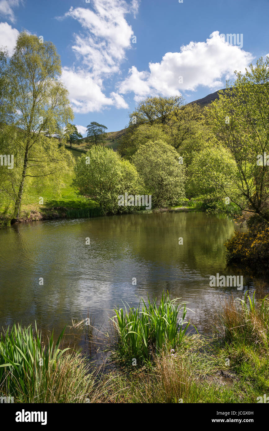 Piccolo lago sotto le colline di Moel Famau country park, il Galles del Nord. Foto Stock