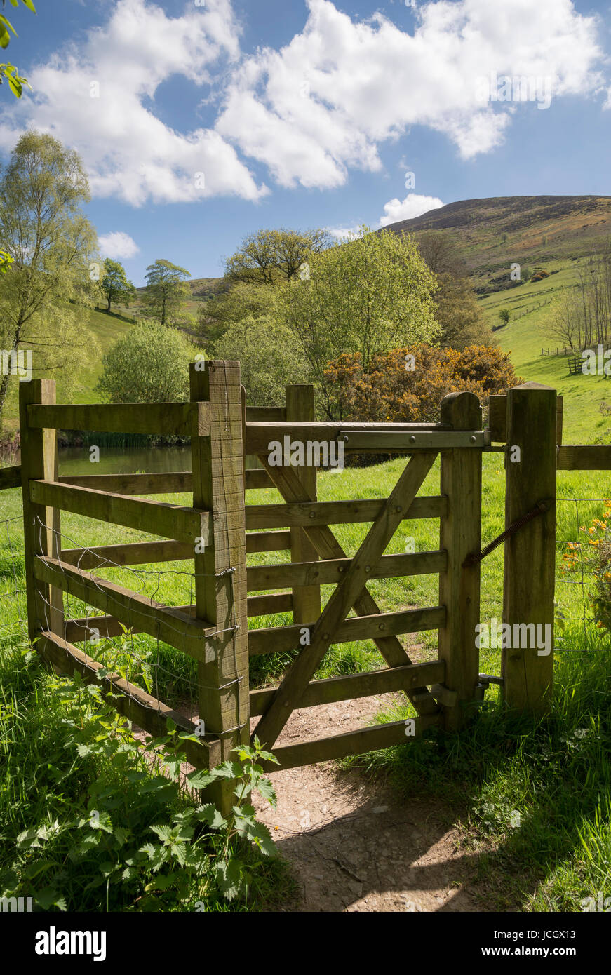 Gate in Coed Cenuant, posseduta dal bosco di fiducia e situato al di sotto di Moel Famau country park, il Galles del Nord. Foto Stock