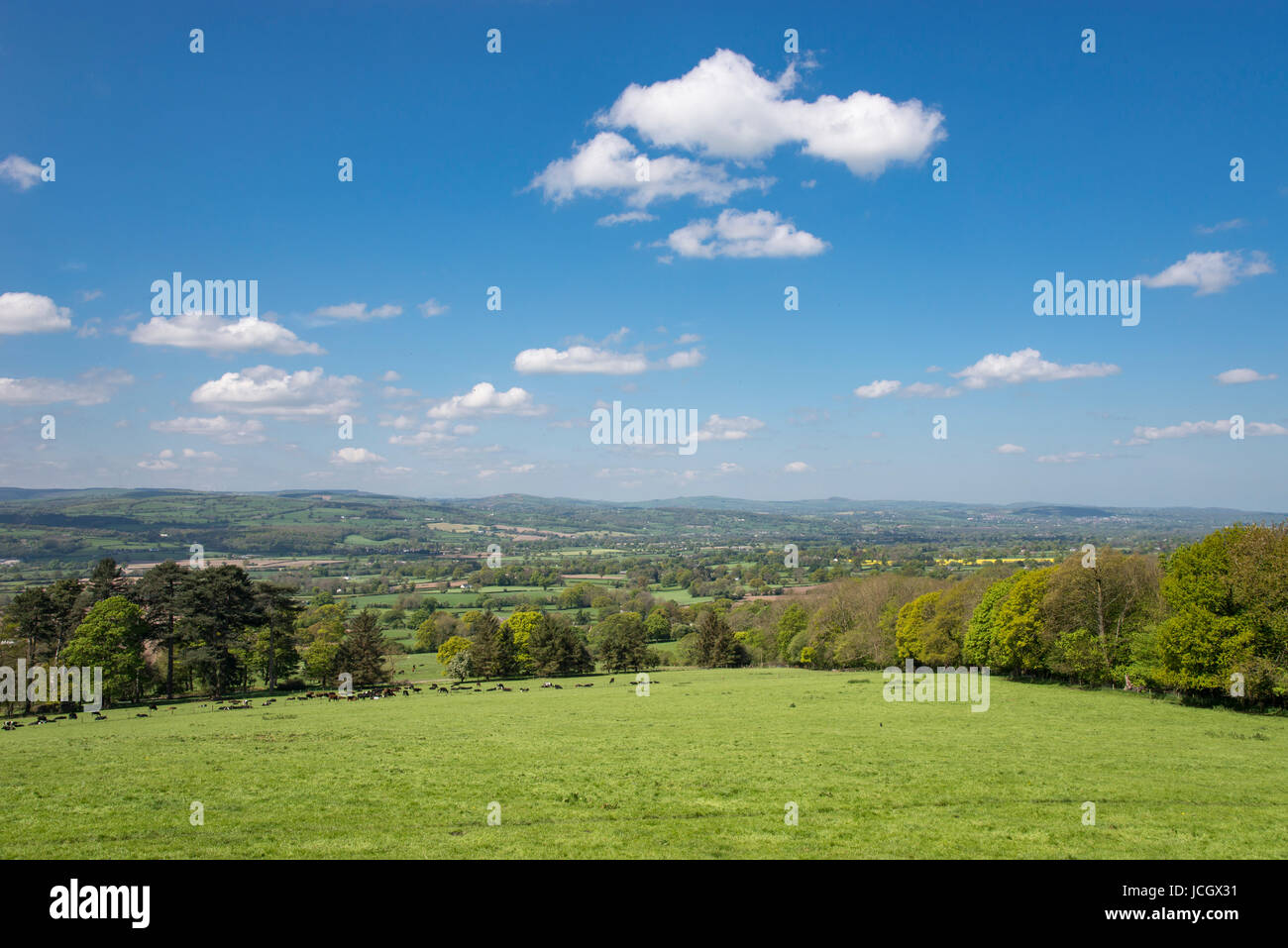 Bella e verde campagna vicino a Ruthin nella valle di Clwyd, Denbighshire, Galles. Foto Stock