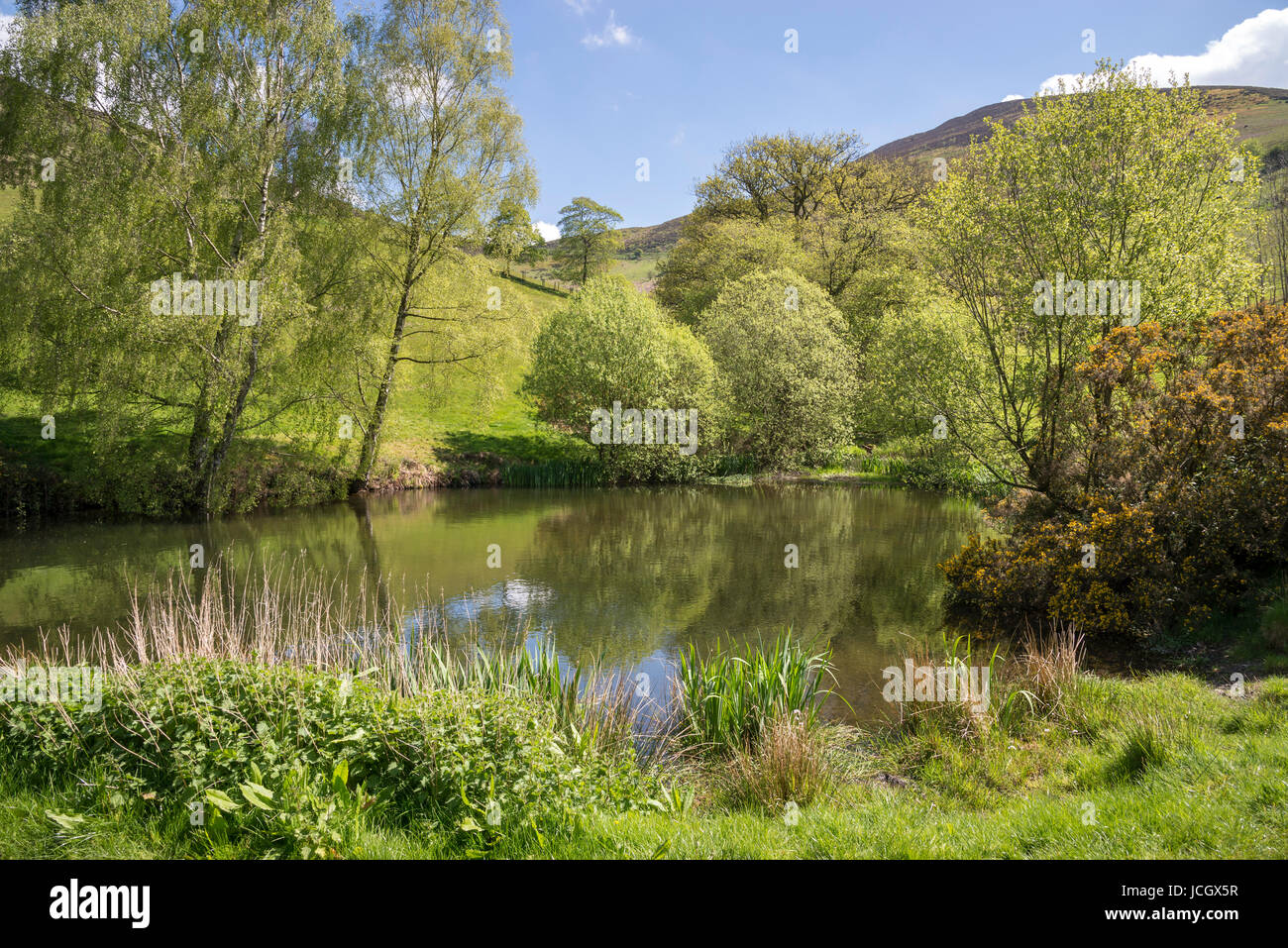 Piccolo lago sotto le colline di Moel Famau country park, il Galles del Nord. Foto Stock